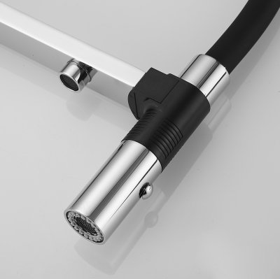 Смеситель для кухни Rose R958