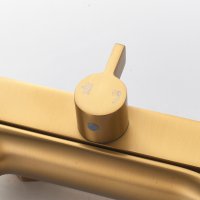 Душевая стойка Shevanik S4136G