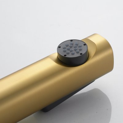 Смеситель с гигиеническим душем Shevanik S4305G-1