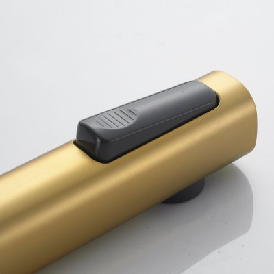 Смеситель с гигиеническим душем Shevanik S4305G-1