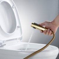 Смеситель с гигиеническим душем Shevanik S4305G-1
