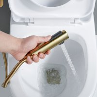 Смеситель с гигиеническим душем Shevanik S4305G-1