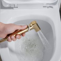 Смеситель с гигиеническим душем Shevanik S9905G