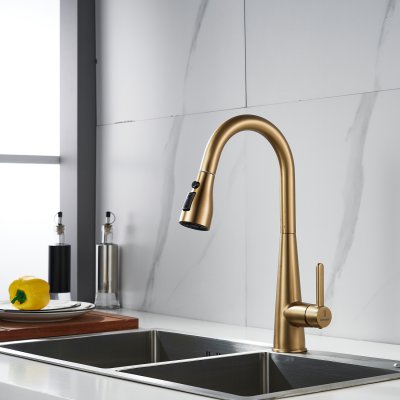 Смеситель для кухни Shevanik S363G