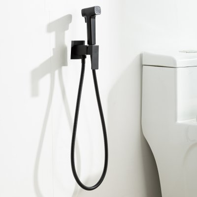 Смеситель с гигиеническим душем Frap F7591-26