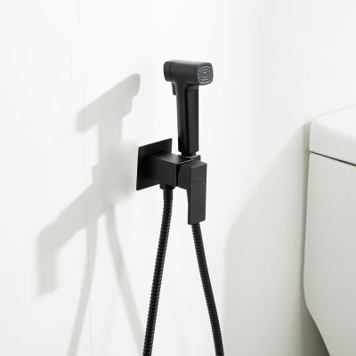 Смеситель с гигиеническим душем Frap F7591-26