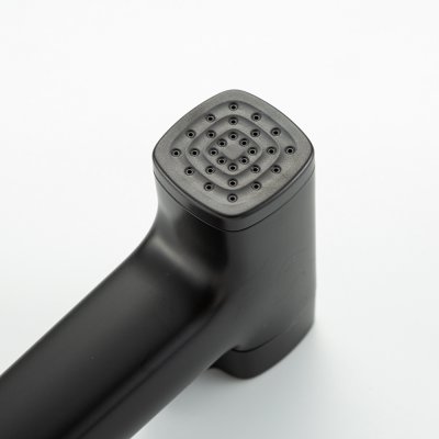Смеситель с гигиеническим душем Frap F7591-26