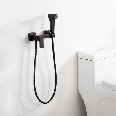 Смеситель с гигиеническим душем Frap F7591-6