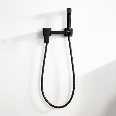 Смеситель с гигиеническим душем Frap F7591-6