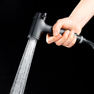Смеситель с гигиеническим душем Frap F7591-6
