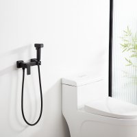 Смеситель с гигиеническим душем Frap F7591-6