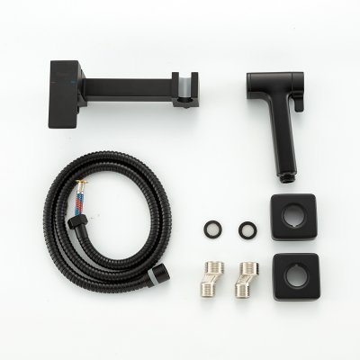 Смеситель с гигиеническим душем Frap F7591-6