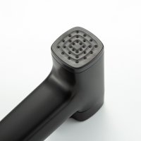 Смеситель с гигиеническим душем Frap F7591-6