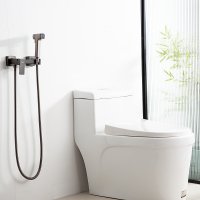 Смеситель с гигиеническим душем Frap F7591-9