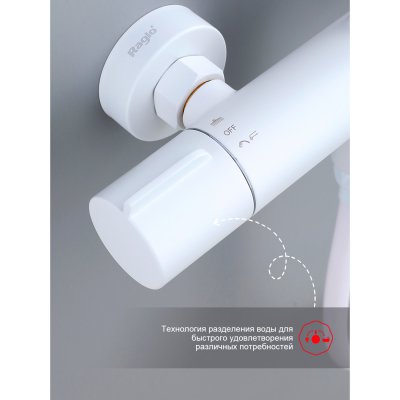 Душевая стойка Raglo R20.24.08