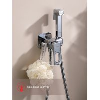 Смеситель с гигиеническим душем Raglo R51.52