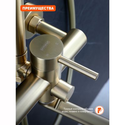 Душевая стойка Prohanss P31.24.03