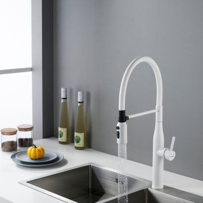 Смеситель для кухни Shevanik S123C-1