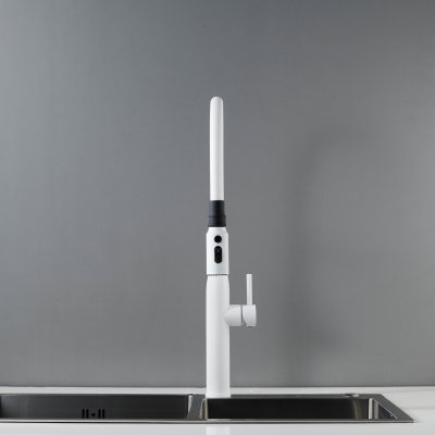 Смеситель для кухни Shevanik S123C-1