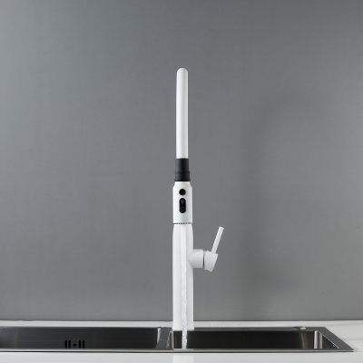 Смеситель для кухни Shevanik S123C-1