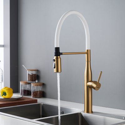 Смеситель для кухни Shevanik S123G-1