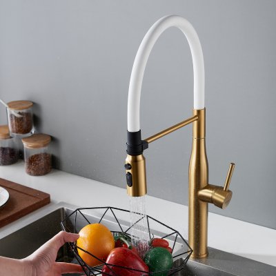 Смеситель для кухни Shevanik S123G-1