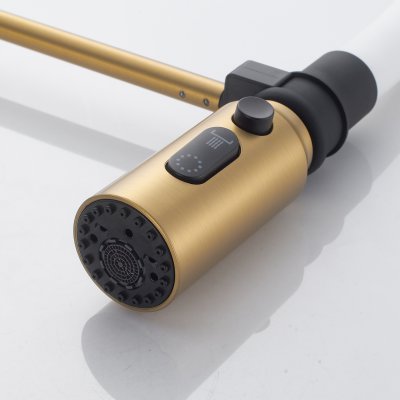 Смеситель для кухни Shevanik S123G-1