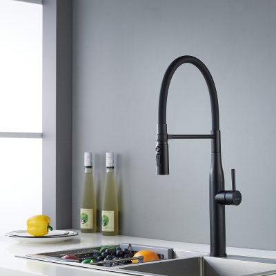 Смеситель для кухни Shevanik S123H-3