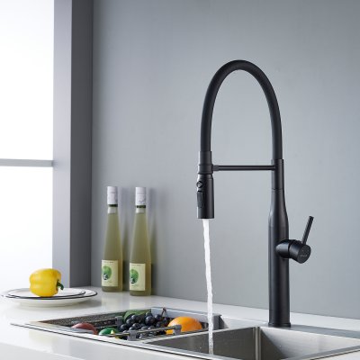 Смеситель для кухни Shevanik S123H-3