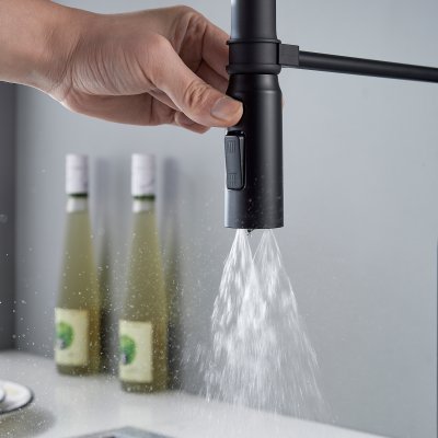 Смеситель для кухни Shevanik S123H-3