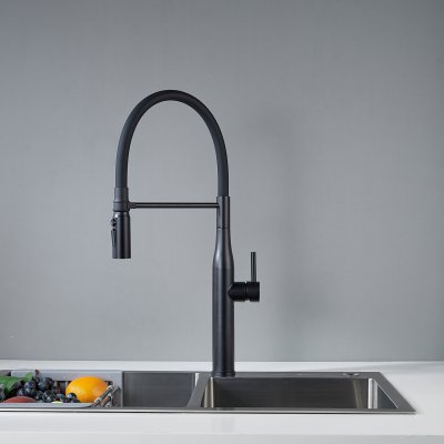 Смеситель для кухни Shevanik S123H-3