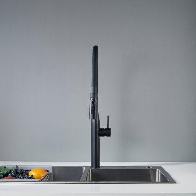 Смеситель для кухни Shevanik S123H-3