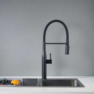 Смеситель для кухни Shevanik S123H-3