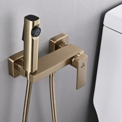 Смеситель с гигиеническим душем Rose R1805G-1