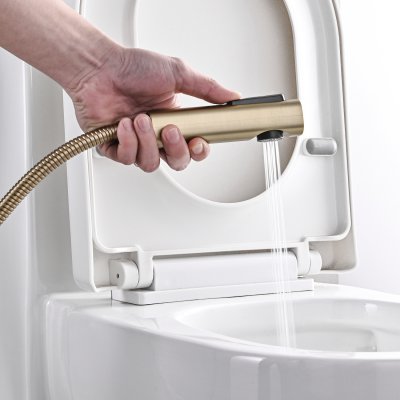 Смеситель с гигиеническим душем Rose R1805G-1