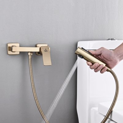 Смеситель с гигиеническим душем Rose R1805G-1