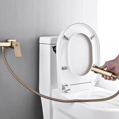 Смеситель с гигиеническим душем Rose R1805G-1