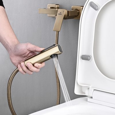 Смеситель с гигиеническим душем Rose R1805G-1