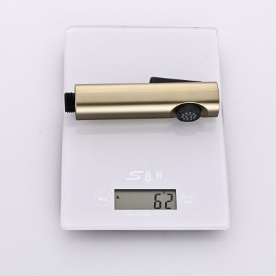 Смеситель с гигиеническим душем Rose R1805G-1