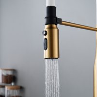 Смеситель для кухни Shevanik S123G-1