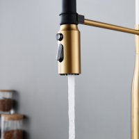 Смеситель для кухни Shevanik S123G-1