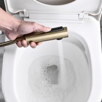 Смеситель с гигиеническим душем Rose R1805G-1