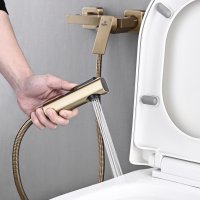 Смеситель с гигиеническим душем Rose R1805G-1