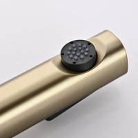 Смеситель с гигиеническим душем Rose R1805G-1