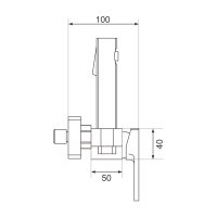 Смеситель с гигиеническим душем Rose R1805G-1