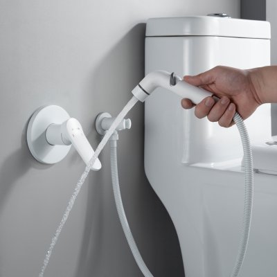 Смеситель с гигиеническим душем Shevanik S4305C