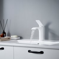 Смеситель для раковины Shevanik S4101C