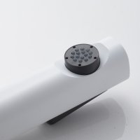 Смеситель с гигиеническим душем Shevanik S4105C-1