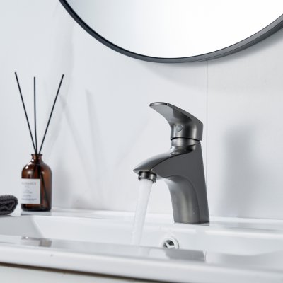 Смеситель для раковины Shevanik S5001T