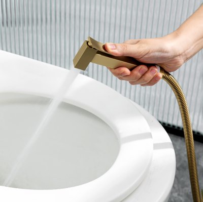 Смеситель с гигиеническим душем Gappo G7207-33